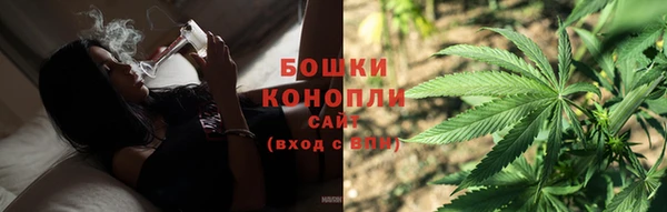 стаф Козельск