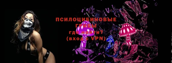 PSILOCYBIN Кодинск