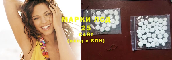PSILOCYBIN Козловка