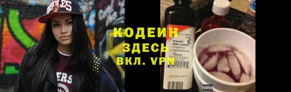 стаф Козельск