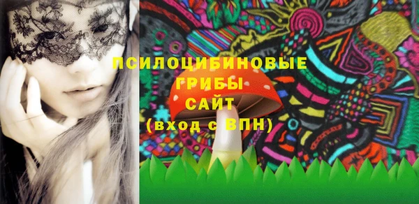 PSILOCYBIN Козловка