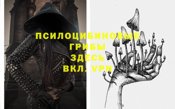 стаф Козельск