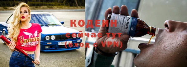 стаф Козельск