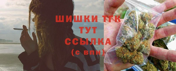 PSILOCYBIN Козловка